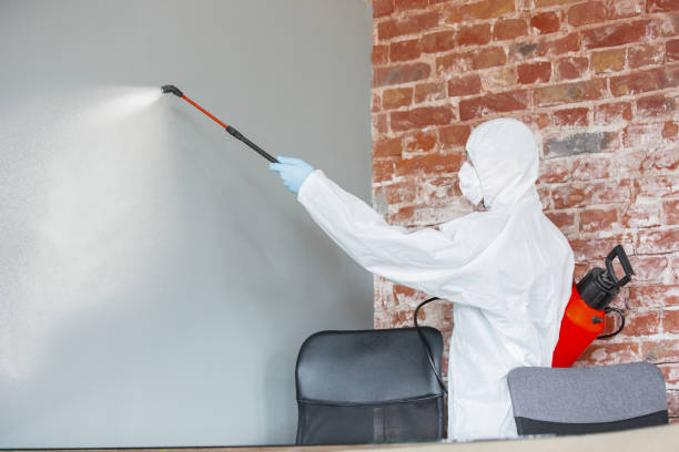 Best Post-Remediation Verification Testing  in Bowleys Quarters, MD
