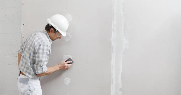 Best Real Estate Mold Inspection  in Bowleys Quarters, MD