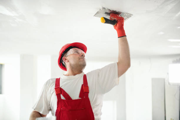Best Comprehensive Air Testing for Mold Contaminants  in Bowleys Quarters, MD