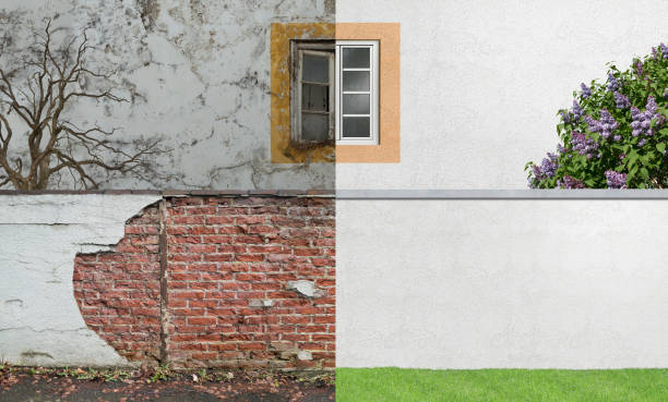Best Commercial Mold Inspection  in Bowleys Quarters, MD