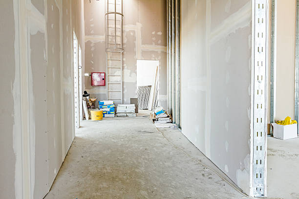 Mold Odor Removal Services in Bowleys Quarters, MD