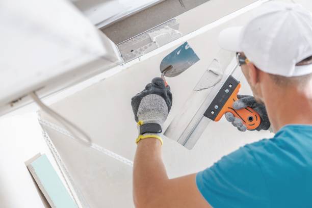 Trusted Bowleys Quarters, MD Mold Removal Experts